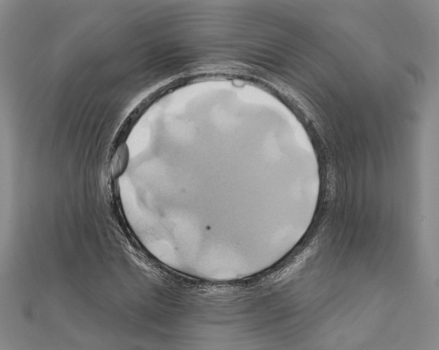 X0000111030830200908061434