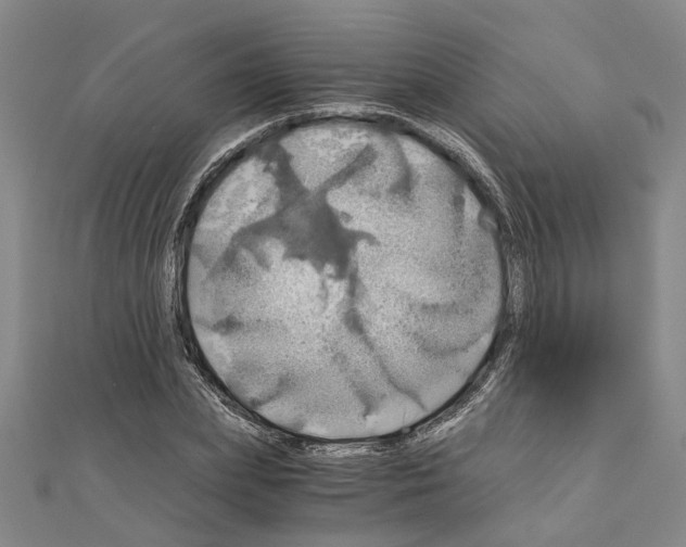 X0000111030831200908061434