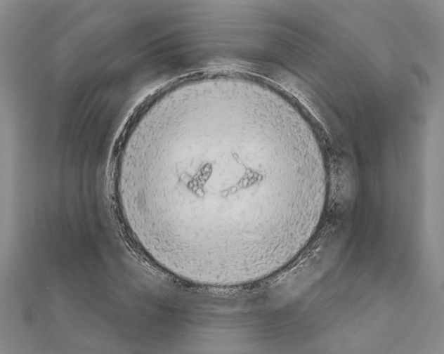 X0000111030832200908061434