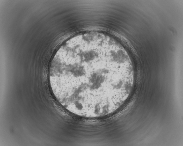 X0000111030833200908061434