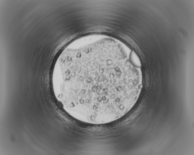 X0000111030834200908061434