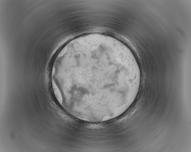 X0000111030835200908061434