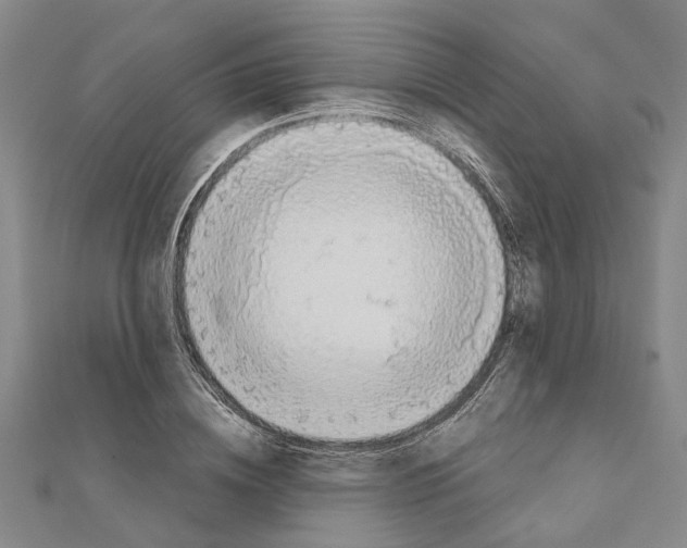 X0000111030836200908061434