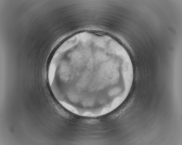 X0000111030837200908061434