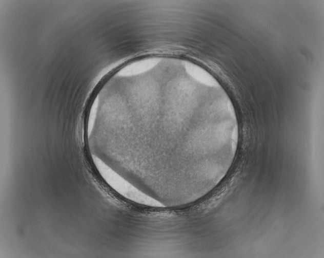 X0000111030838200908061434