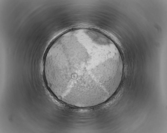 X0000111030839200908061434