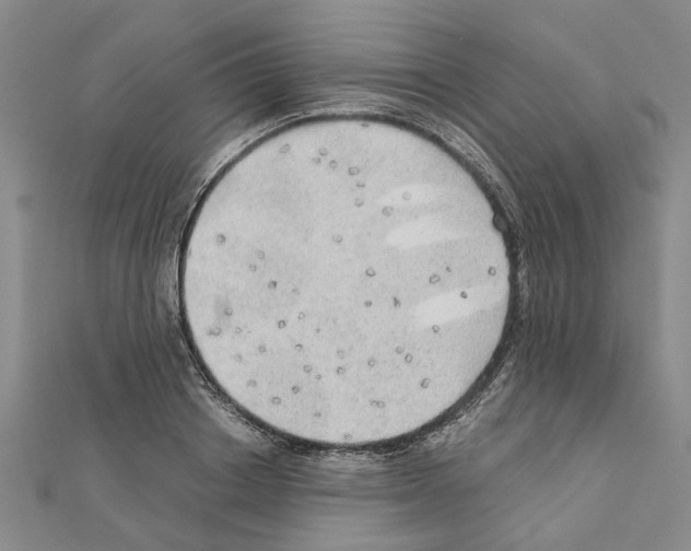 X0000111030842200908061434