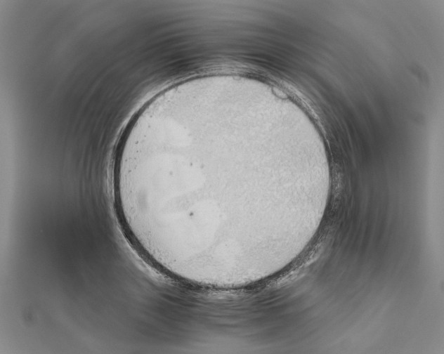 X0000111030843200908061434