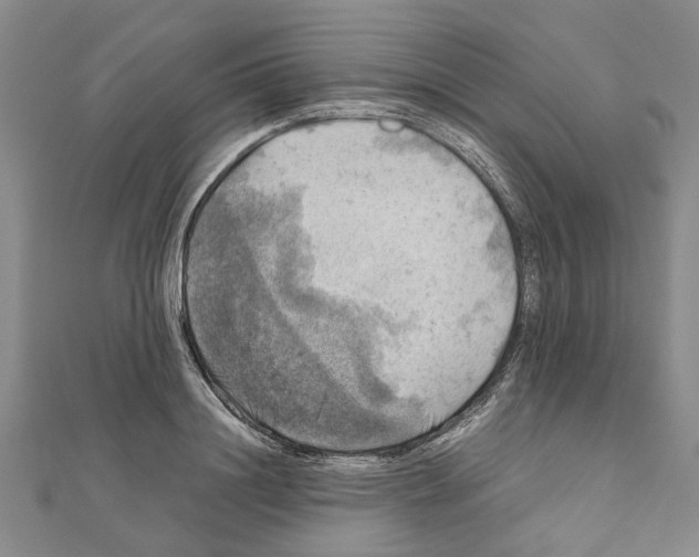 X0000111030844200908061434