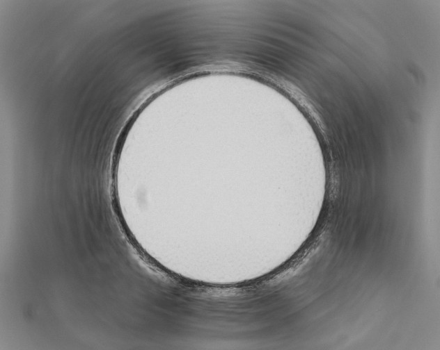 X0000111030845200908061434