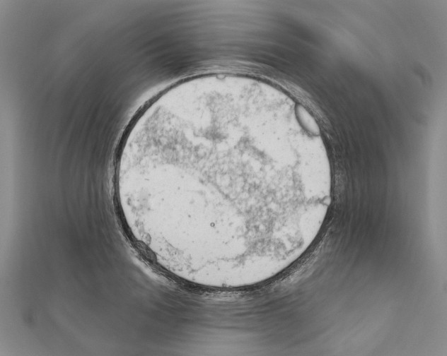 X0000111030846200908061434