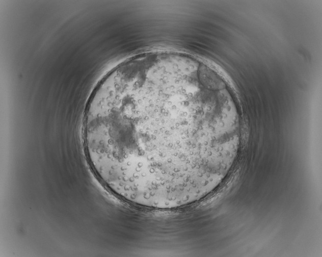 X0000111030847200908061434