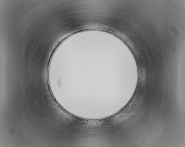 X0000111030848200908061434