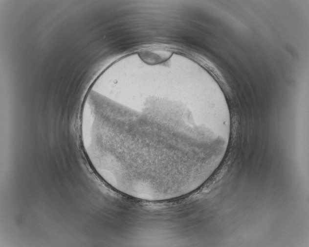 X0000111030852200908061434
