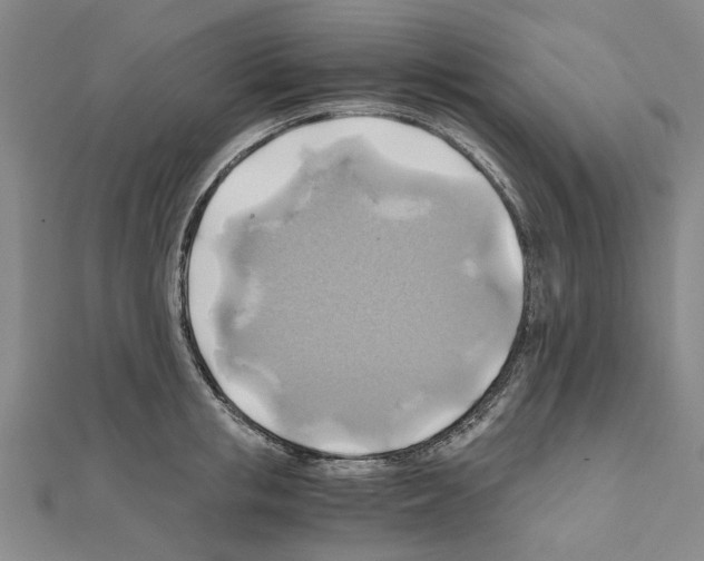 X0000111030853200908061434