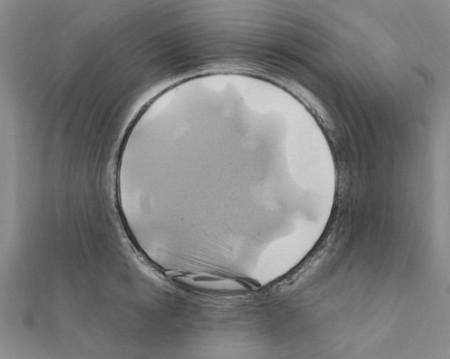 X0000111030854200908061434