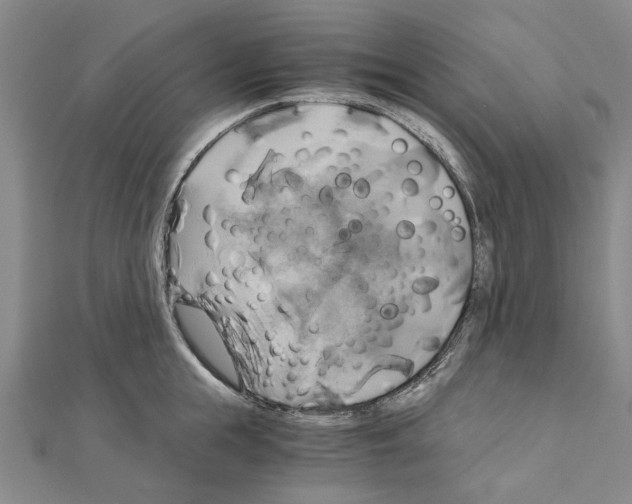 X0000111030855200908061434