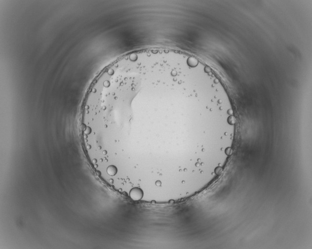 X0000111030856200908061434