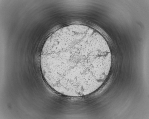 X0000111030857200908061434