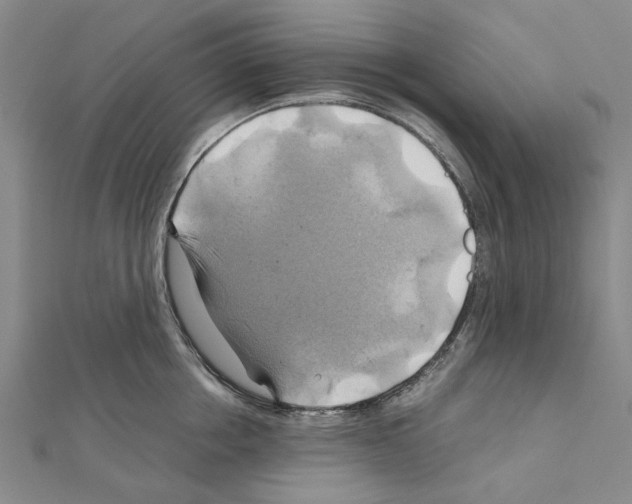 X0000111030858200908061434