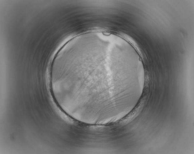 X0000111030859200908061434