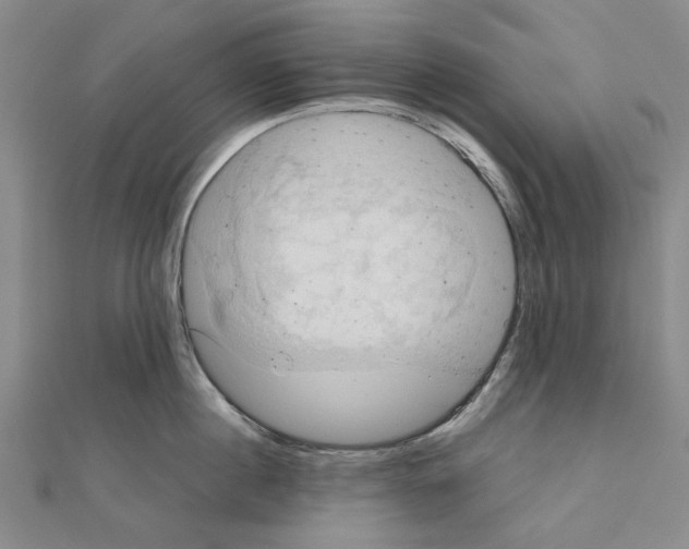X0000111030860200908061434