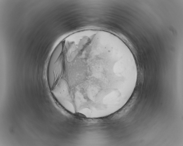 X0000111030862200908061434