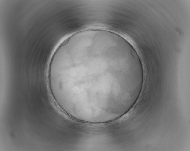 X0000111030864200908061434