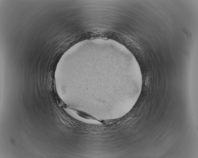 X0000111030868200908061434