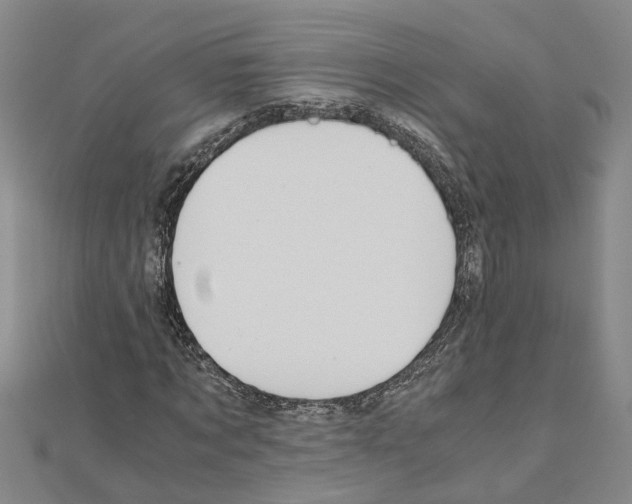 X0000111030869200908061434
