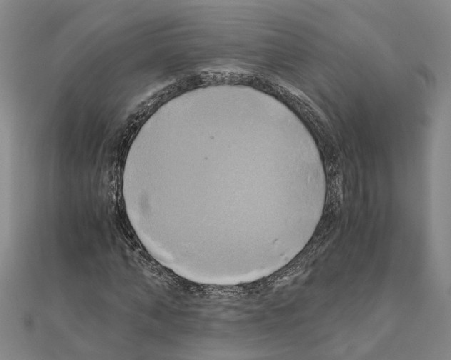 X0000111030870200908061433