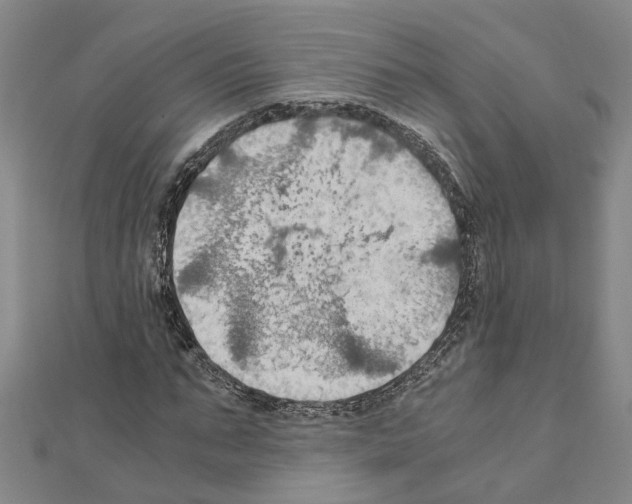 X0000111030871200908061433