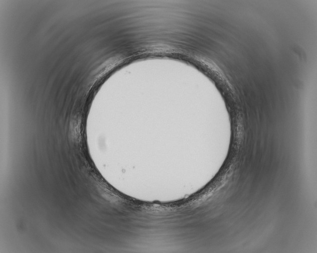X0000111030873200908061433