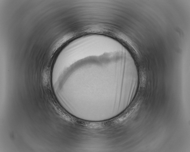 X0000111030874200908061433
