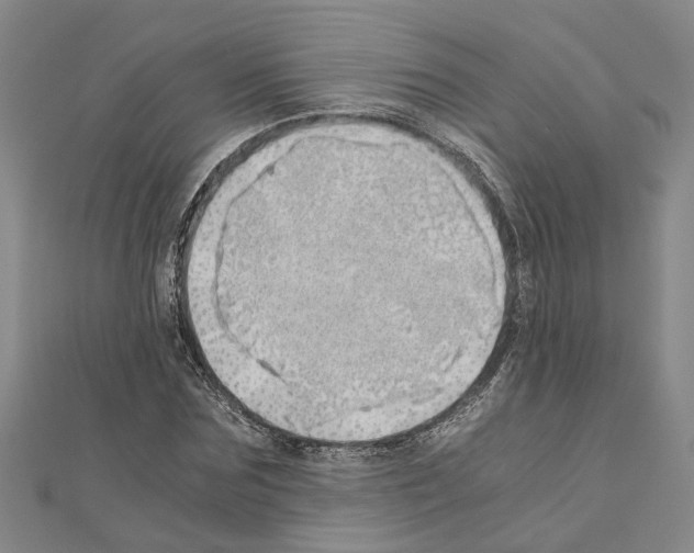 X0000111030875200908061433