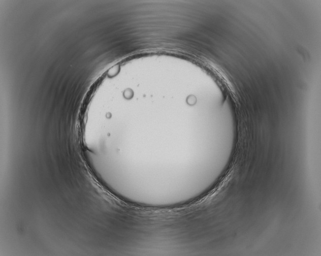 X0000111030876200908061433