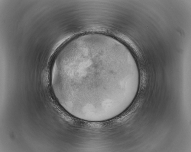X0000111030878200908061433