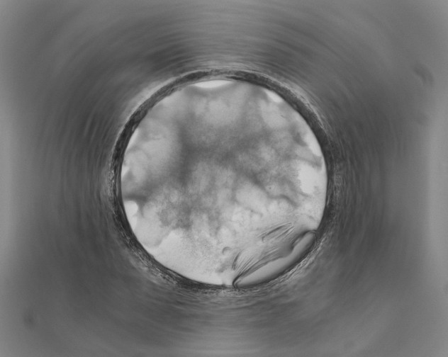 X0000111030879200908061433