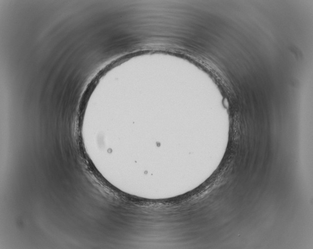 X0000111030880200908061433