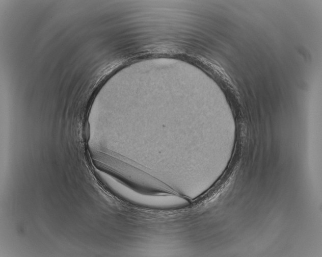 X0000111030881200908061433