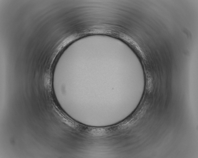 X0000111030882200908061433