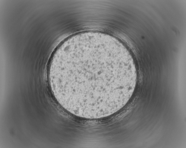 X0000111030883200908061433