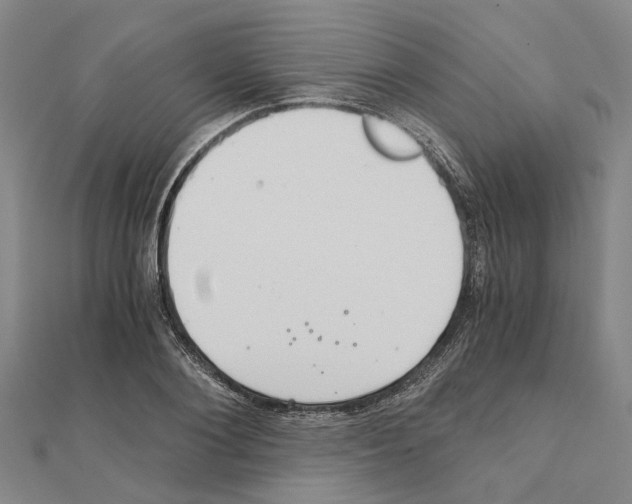 X0000111030884200908061433