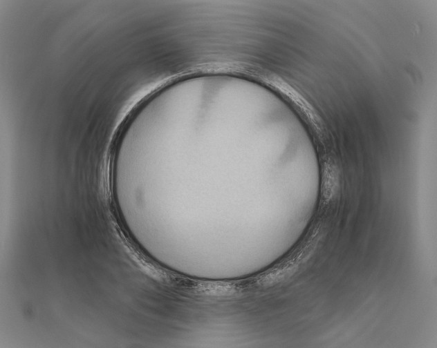 X0000111030886200908061433