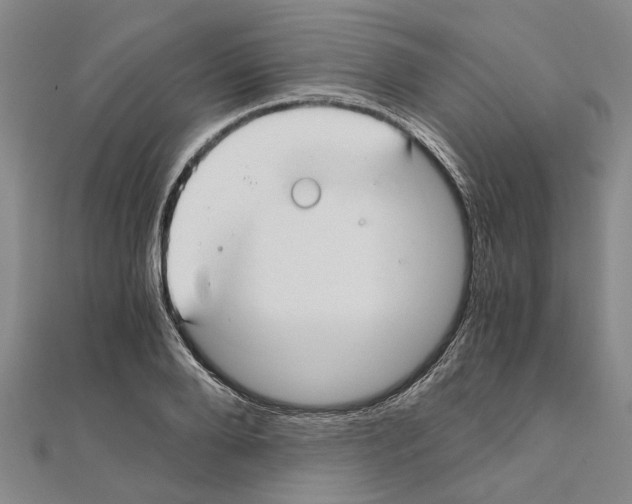 X0000111030888200908061433