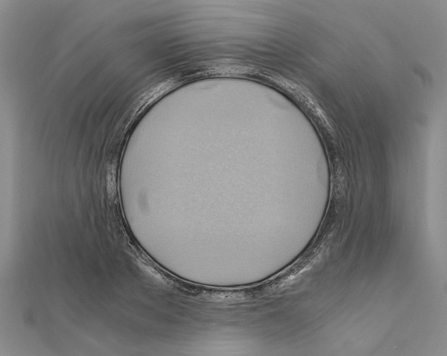 X0000111030889200908061433