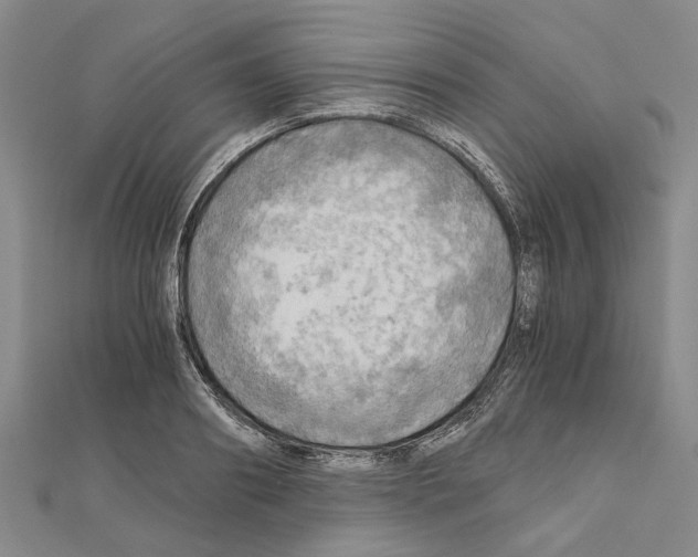 X0000111030890200908061433