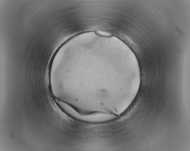 X0000111030892200908061433