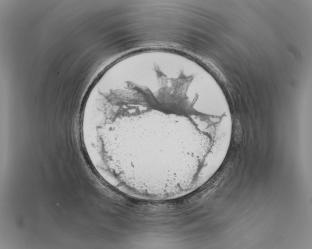 X0000111030895200908061433