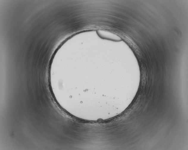 X0000111030896200908061433